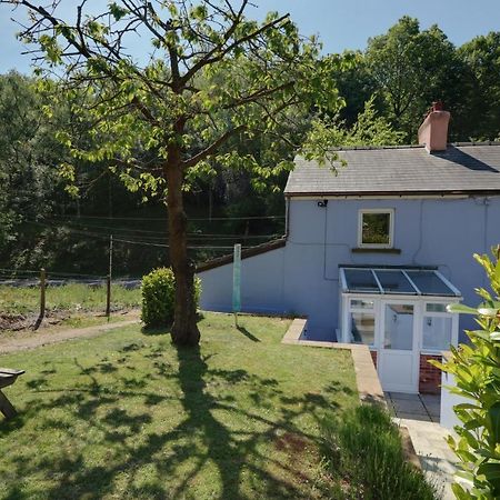 Lilac Cottage Parkend Extérieur photo
